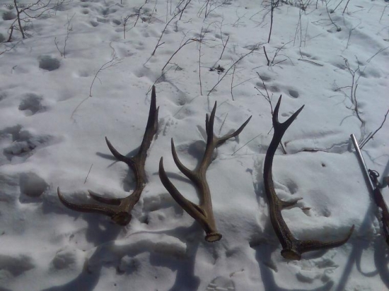 a takto sa to pre dnešok skončilo:)