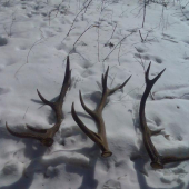 a takto sa to pre dnešok skončilo:)