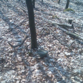 takto na mňa čakali:)12 torák