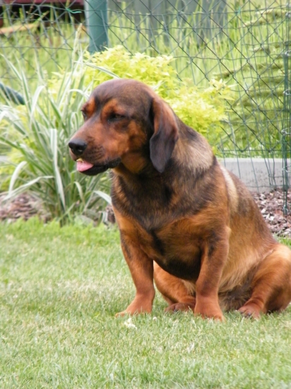 Kim Světlá Víška