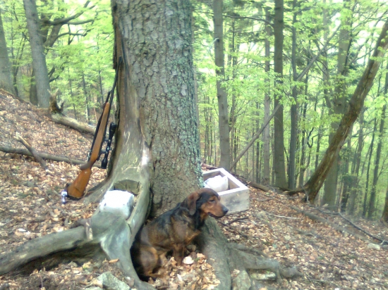 s Gorom pri solisku v Toniach