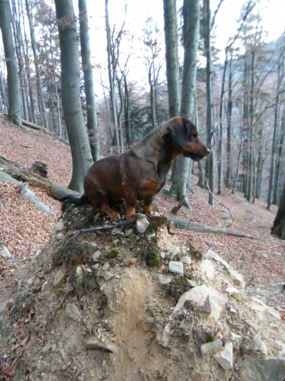 s KIMOM na poľovačke...