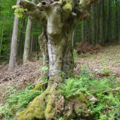 Zaujmavý