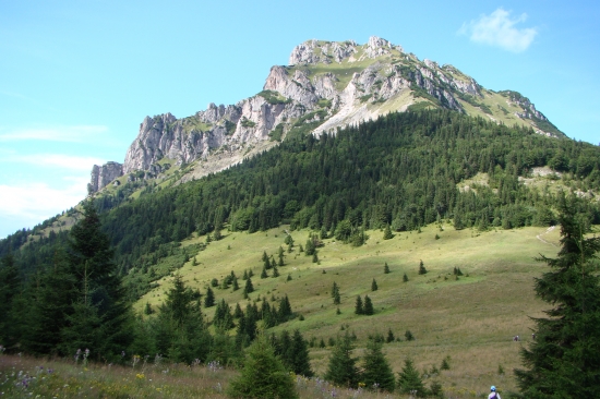 Veľký Rozsutec