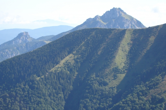 Rozsutce