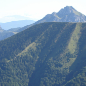 Rozsutce