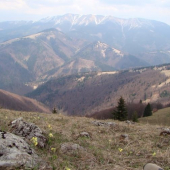 Fotene z malého Zvolena