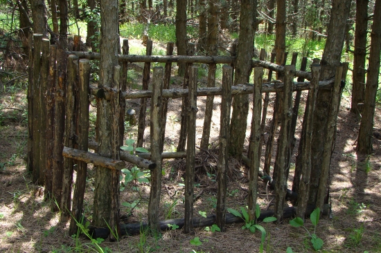 jasle pre diviačiky