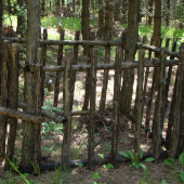 jasle pre diviačiky