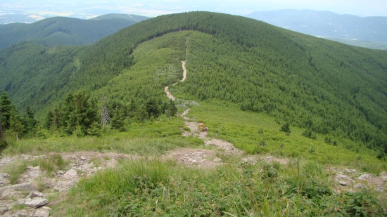Tesne pod vrcholom Lysej hory