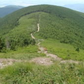 Tesne pod vrcholom Lysej hory