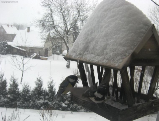 jdi pryč, to je moje místo.....