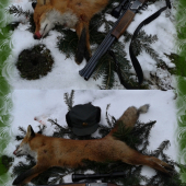 další letošní :)