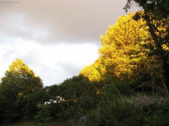 príroda na jaře 2008