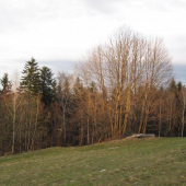 podzim 2008