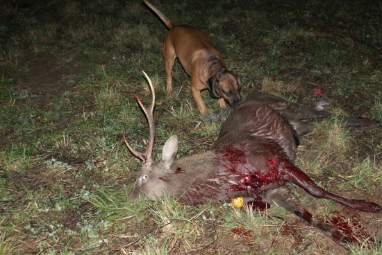 s kamarádem na nástřelu