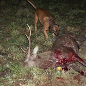 s kamarádem na nástřelu