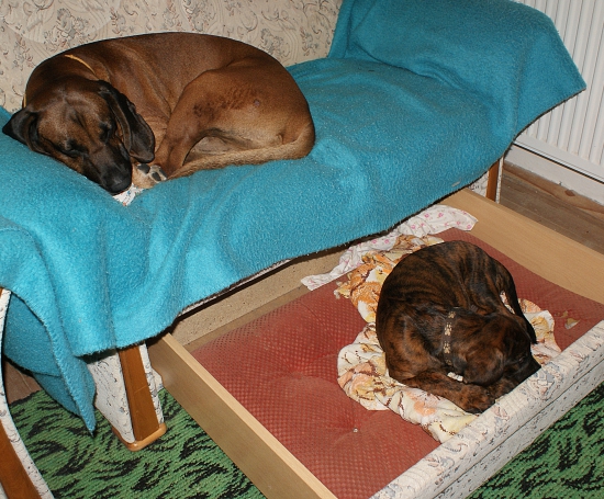 barvářská patrová nocležna