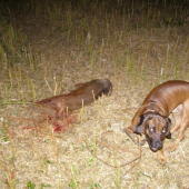 Tak jsem ti ho našel