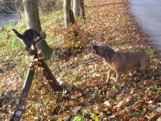 gymnastka a trenér :D