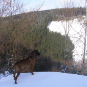 mám to pod kontrolou