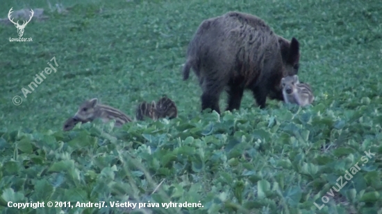 Mamina a deťúrence