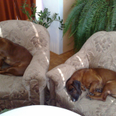 Ada & Ida