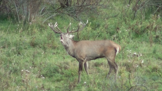 Už to bude pomaly končiť...