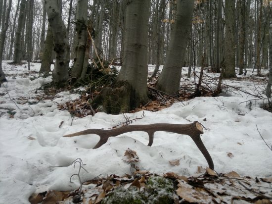 Zima, ale oplatilo sa