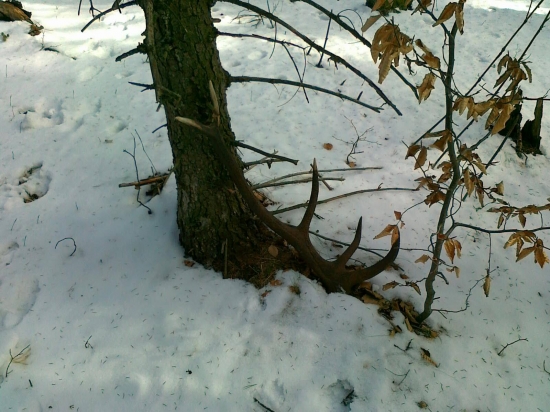 Dohľadaný kamarátom