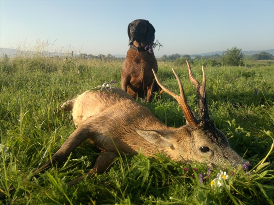 V ranných lúčoch...