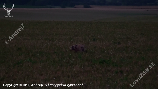Prasiatko troška ináč