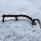 Minuloročný - prvý