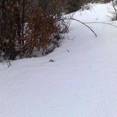 Minuloročný - druhý k nemu