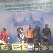 ked sa usmeje stastie