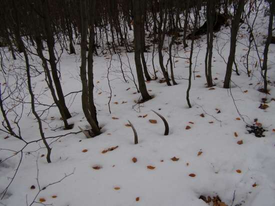 Zabudnuté foto1-prvý pohľad