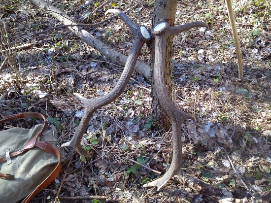 ..už bolo načase..