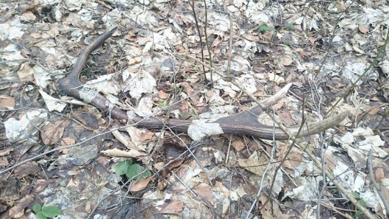 Ďalší, ale starší...