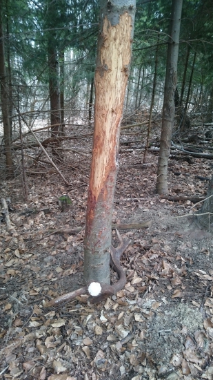 Pohľad na nezaplatenie...