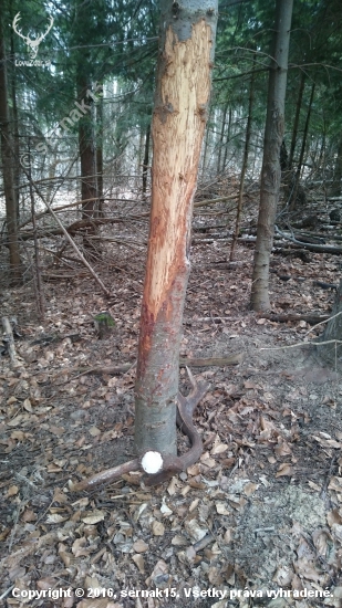 Pohľad na nezaplatenie...