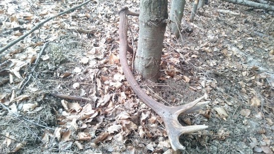 Pohľad na nezaplatenie 2...