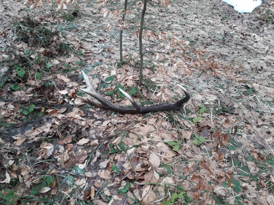 10 minutová prechádzka