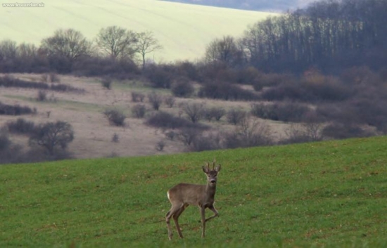 ...so zlomenou nohou