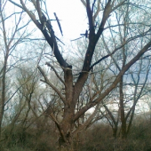 bol tu posed a už ho niet