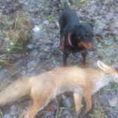 Podarilo sa aspon jednu