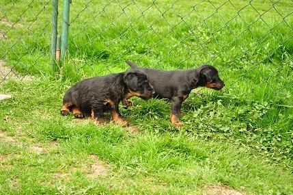 Čo to tam asi je ???