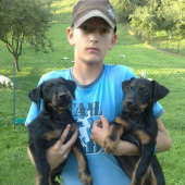 GERA a GRETA Gerlachovský dvor