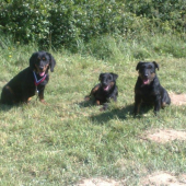 Zvolen  Sielnica 2009