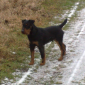 BENY Gerlachovský dvor