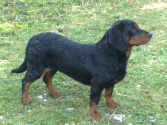 HERA Sušianska dolina